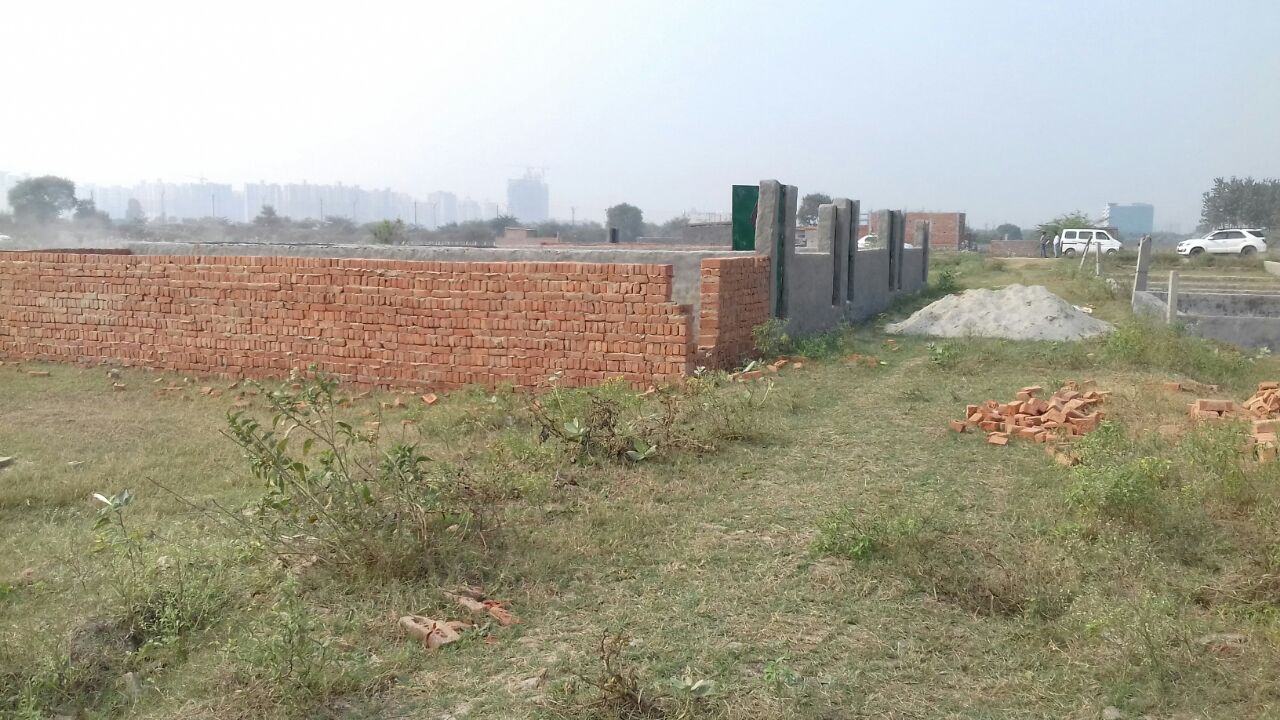 Plot For Sale in Sector 142