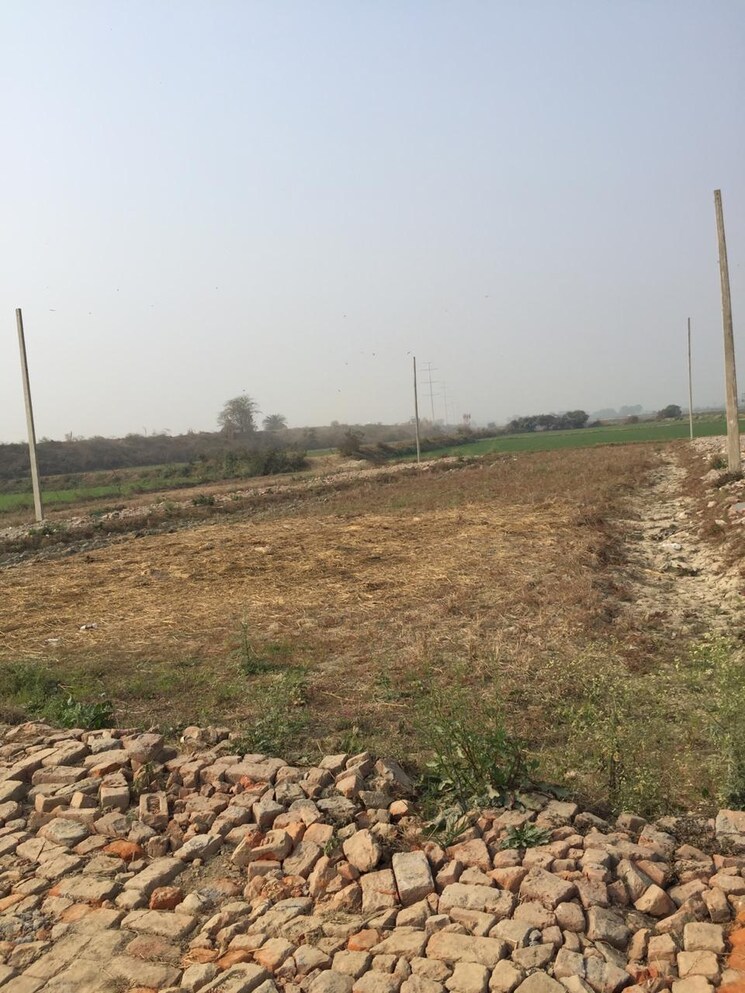 undefined, sector 142  810 Sq.Ft. Plot In Sector 142 Noida 8621672