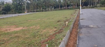 Plot Area in  Plot at Nelamangala – for Sale