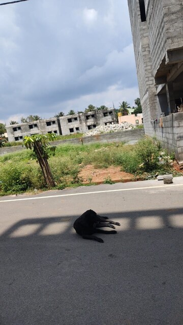  Plot – Exterior View View at Jp Nagar - for Sale