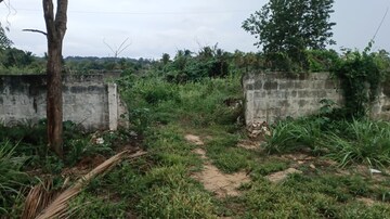  Plot For Sale in Yeshwanthpur