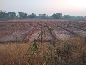  Land For Sale in Ghatlodia