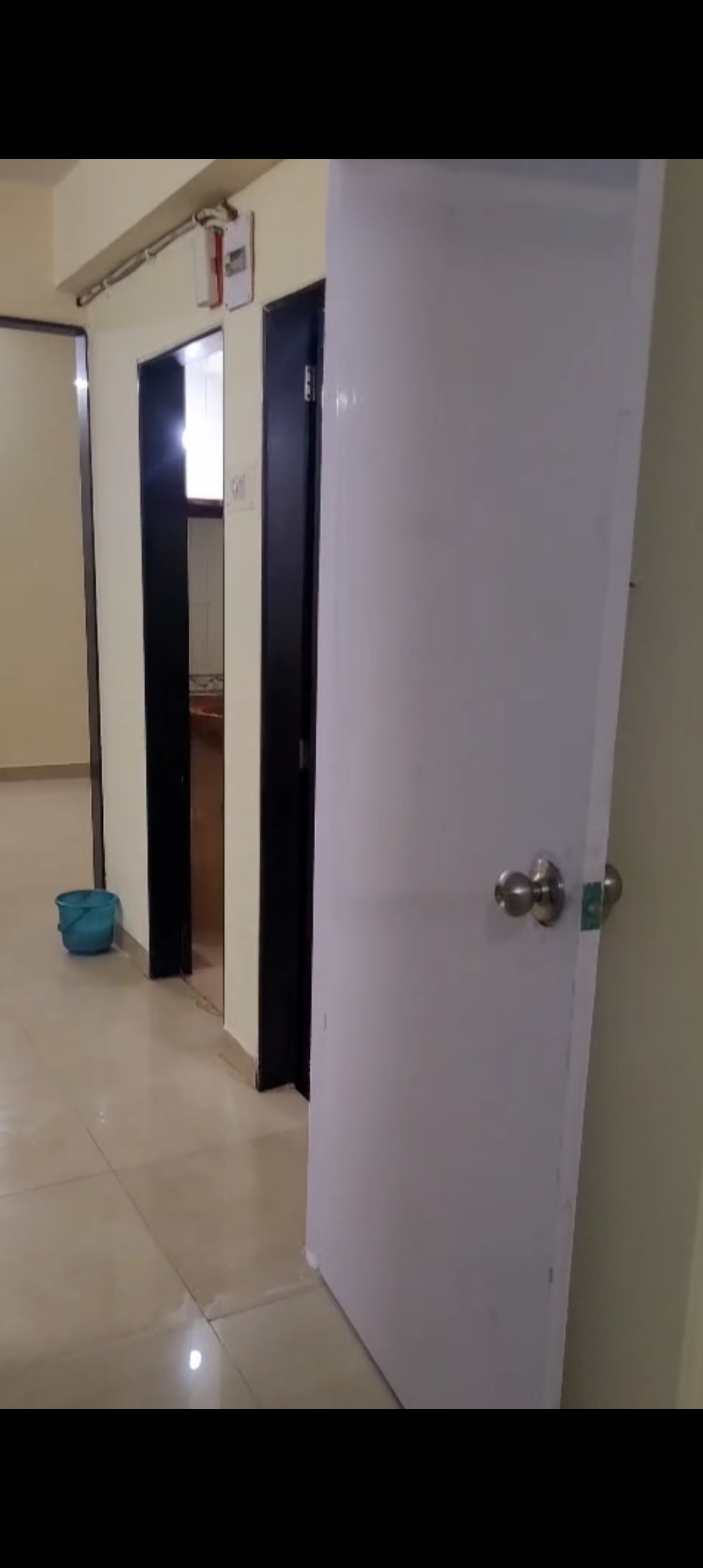 1 BHK + Study Room Apartment For Rent in Dion Shelter Apartment