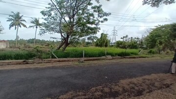 Plot Area in  Plot at Nettoor – for Sale