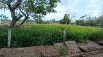 Plot Area in  Plot at Nettoor – for Sale