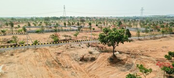 Plot Area in  Plot at CBC Cosmopolis, Mirkhanpet – for Sale