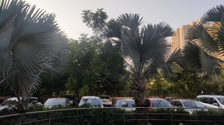 Exterior View, poddar-palm-greens 2 Bedroom 1064 Sq.Ft. Apartment In Makarba Ahmedabad 8623409