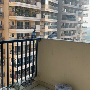 Balcony in 2 BHK Apartment at Gaur Atulyam, Omicron I Greater Noida – for Rent