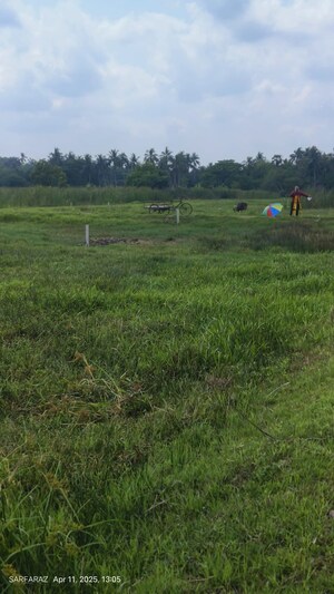  Plot For Sale in Swapnabhumi Integrated  Township, New Town