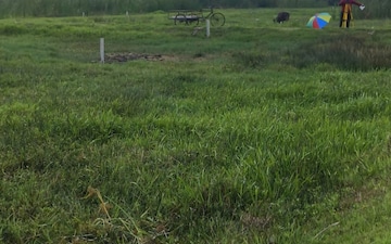 Plot For Sale in Swapnabhumi Integrated Township, New Town