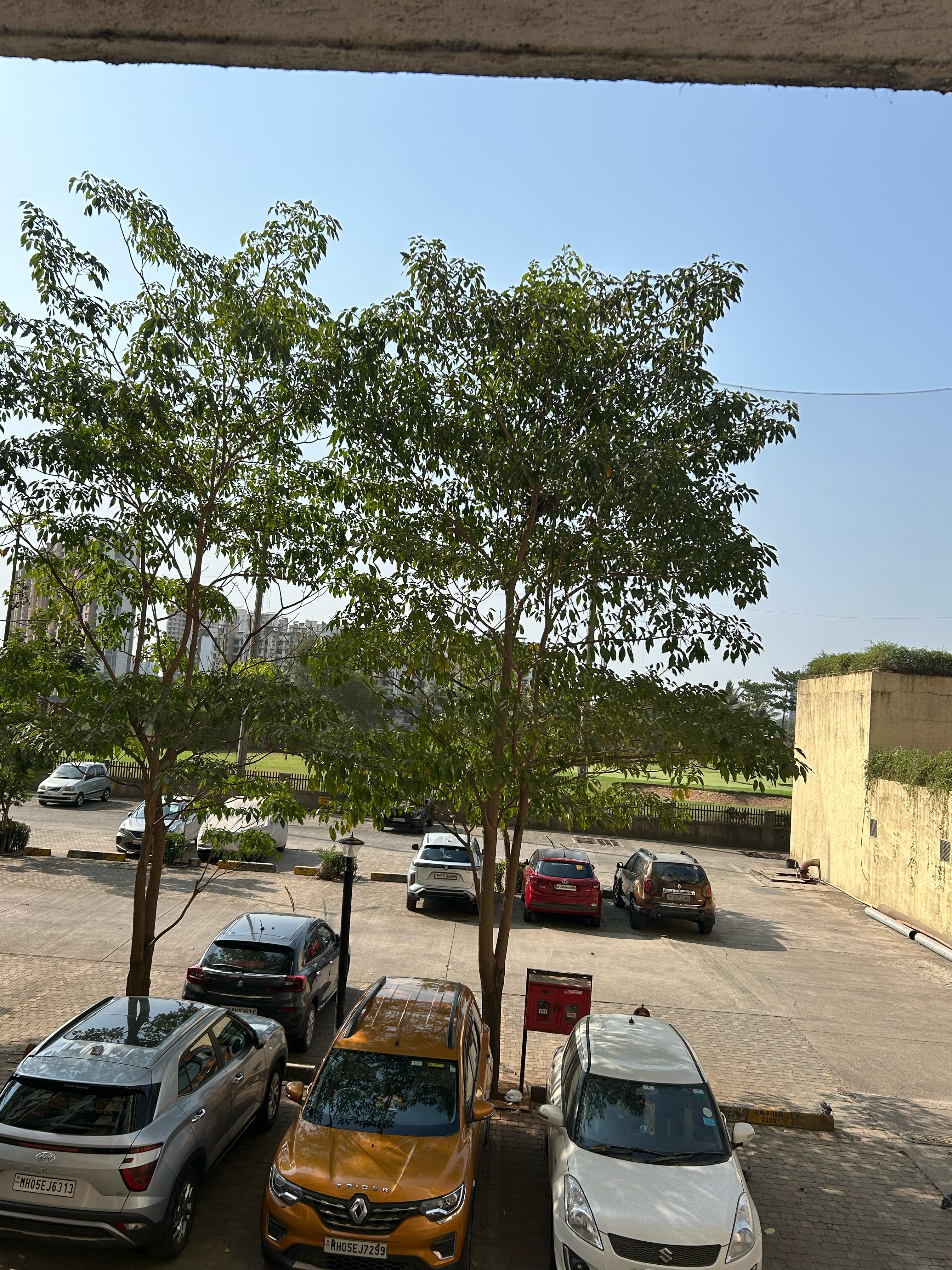 2 BHK + Pooja Room Apartment For Rent in Lodha Casa Bella Gold