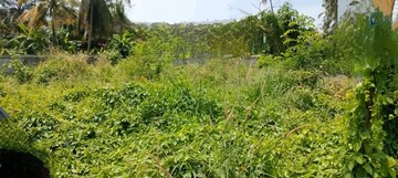 Plot Area in  Land at Patturaickal – for Sale