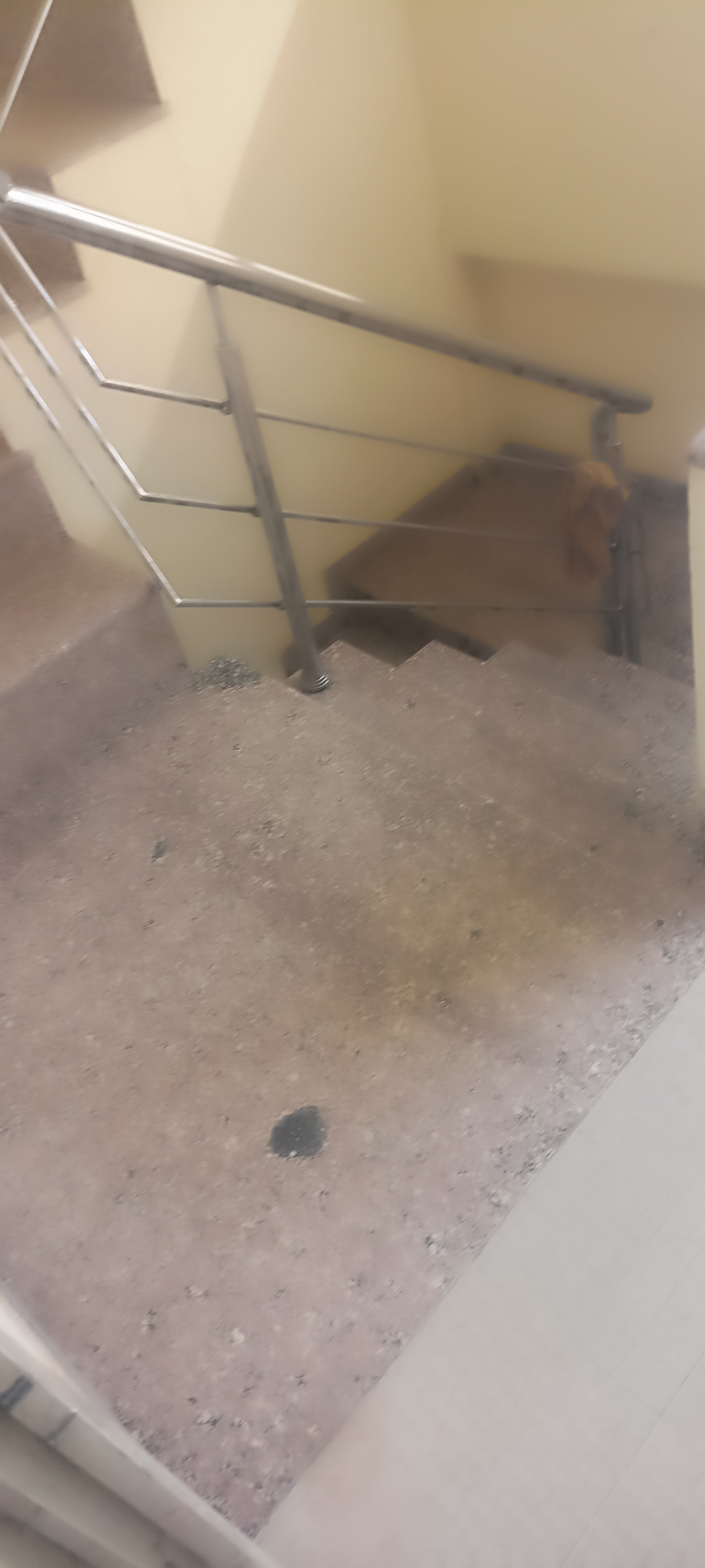 1 BHK Builder Floor For Rent in SS Southend Floors