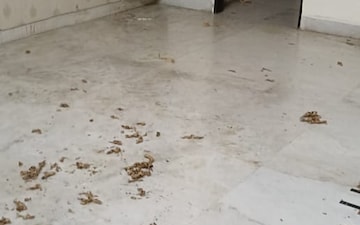 Office Space For Rent in Sector 16 A