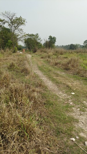  Plot For Sale in Joka