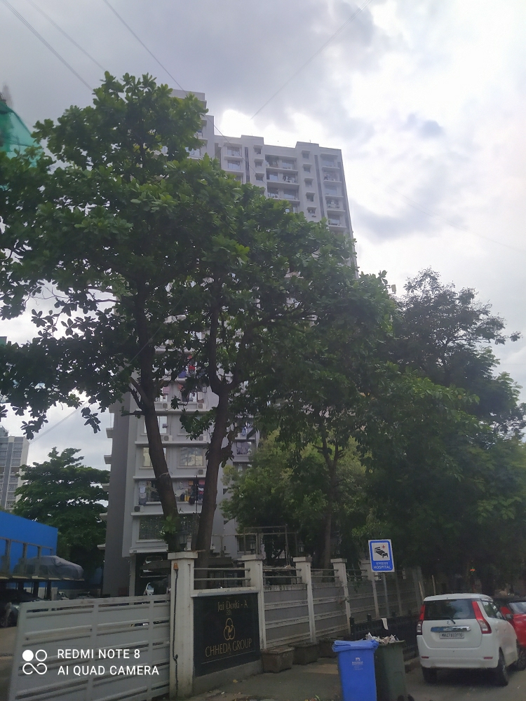 1 BHK 412 Sq.Ft. Apartment in Chheda Jai Devki