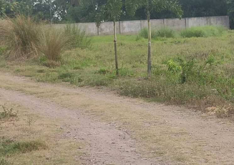 undefined, joka  2880 Sq.Ft. Plot In Joka Kolkata 8624129