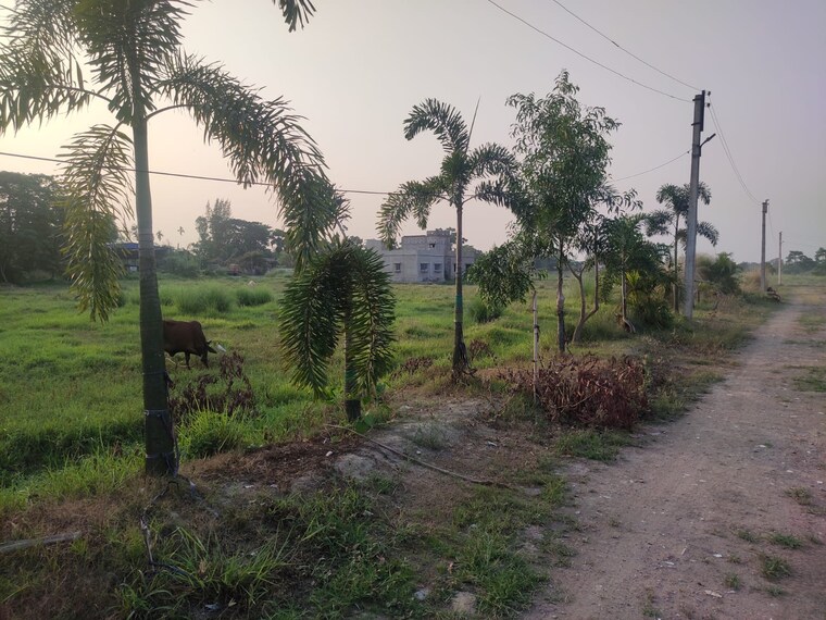 Garden, joka  2880 Sq.Ft. Plot In Joka Kolkata 8624129