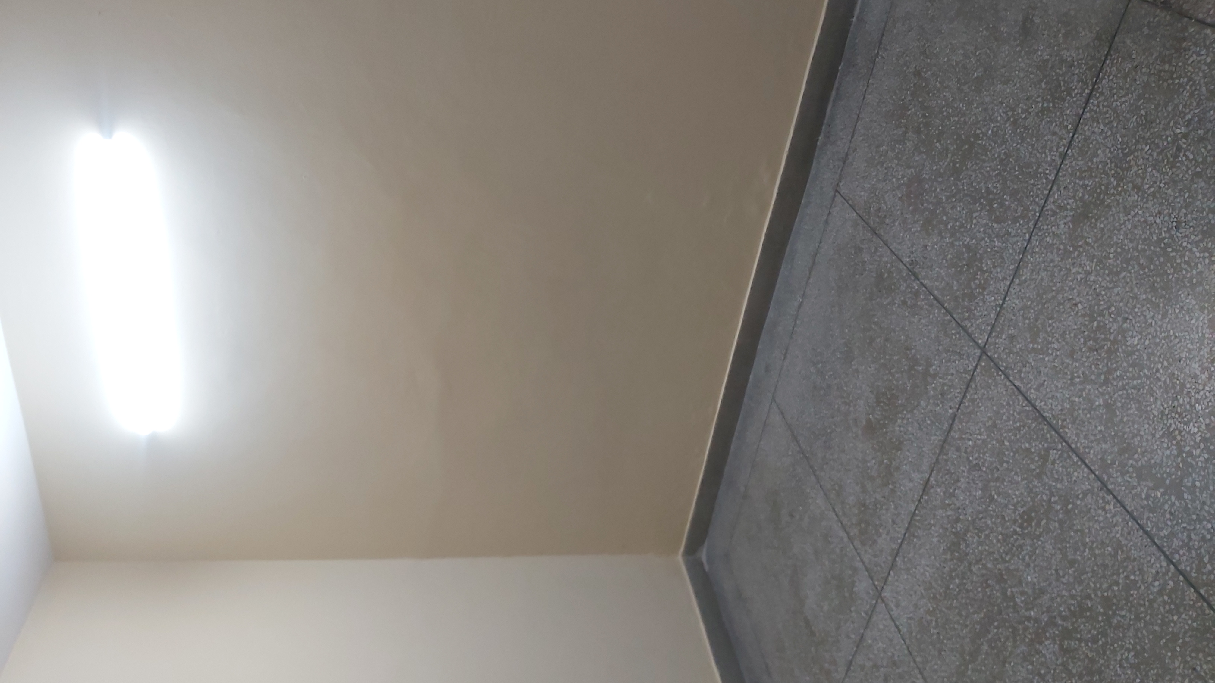 2.5 BHK + Study Room Builder Floor For Rent in Partap Nagar Mayur Vihar 