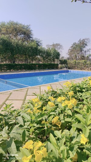  Plot For Sale in Kumhari