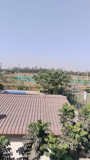  Plot – Exterior View View at Kumhari - for Sale