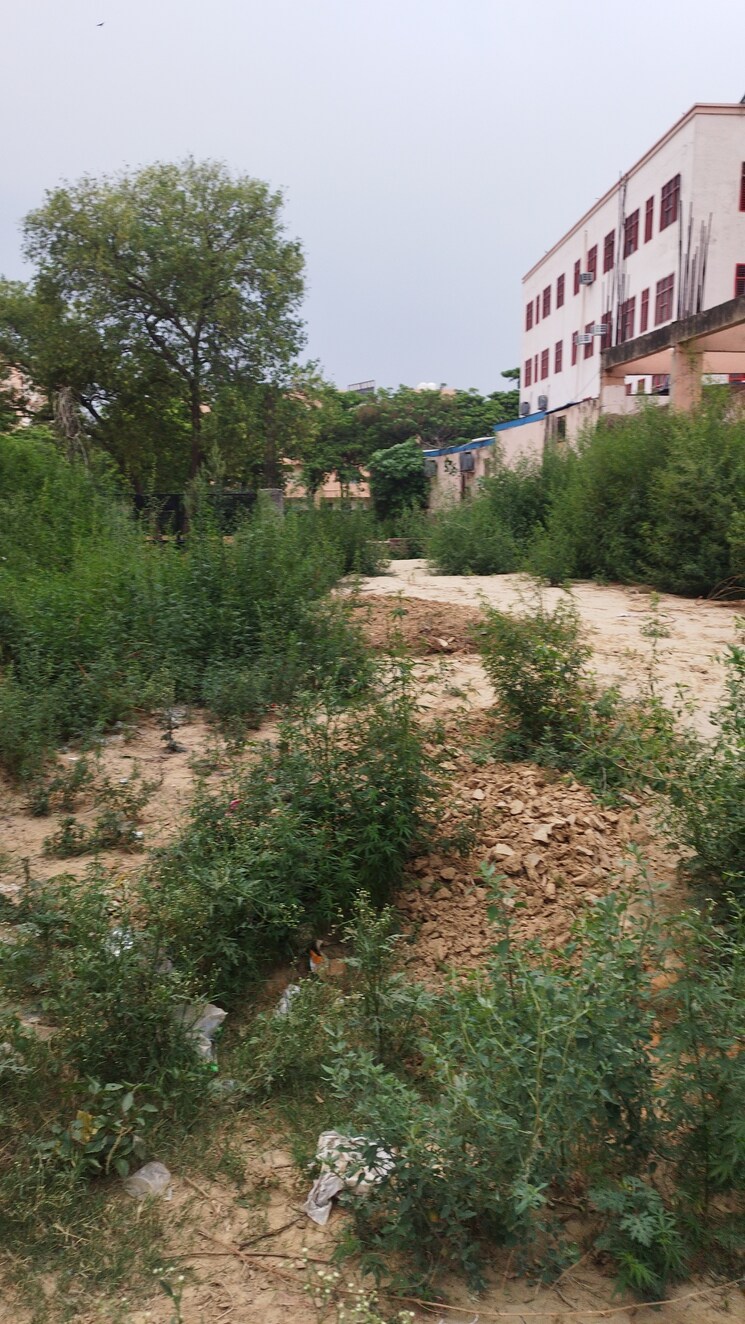 undefined, raj nagar extension  220 Sq.Yd. Plot In Raj Nagar Extension Ghaziabad 8624640