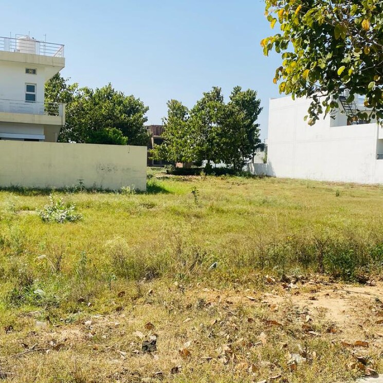 undefined, altus-prime  475 Sq.Yd. Plot In Mullanpur Chandigarh 8624782