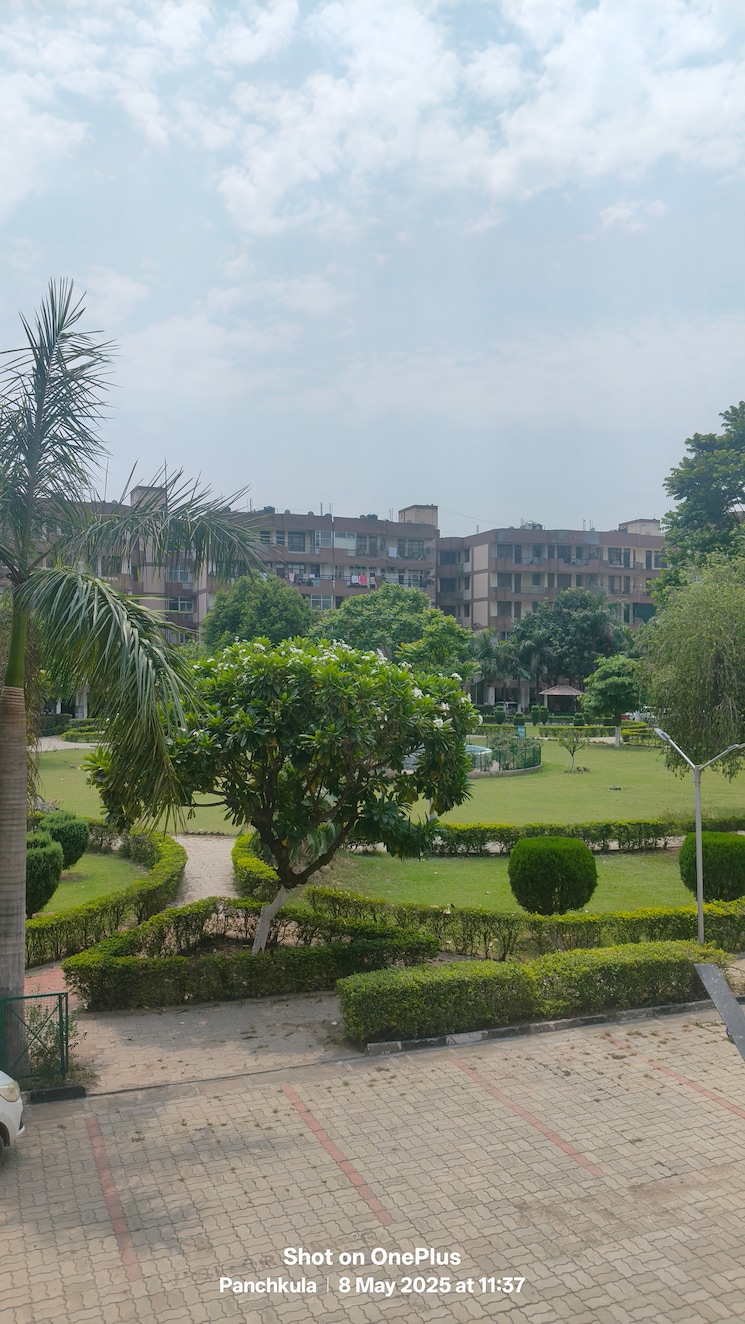 Exterior View, sector 20 2 Bedroom 1150 Sq.Ft. Apartment In Sector 20 Panchkula 8624789