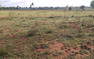 Plot For Sale in Doddakannelli