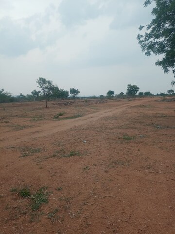 Plot Area in  Plot at Shankarpur – for Sale
