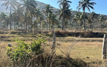 Plot For Sale in Nandi Hills