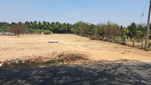 Plot Area in  Land at Kaniyur – for Sale