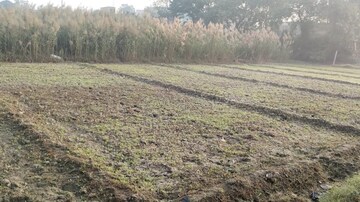  Plot For Sale in Sikandrabad