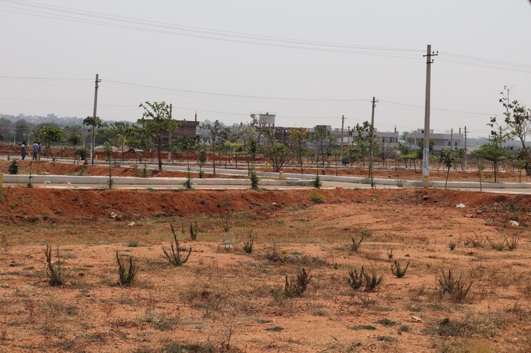 undefined, shadnagar  189 Sq.Yd. Plot In Shadnagar Hyderabad 8626109