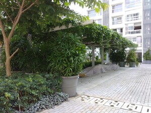 Balcony in 2 BHK Apartment at Godrej The Trees, Vikhroli East – for Rent