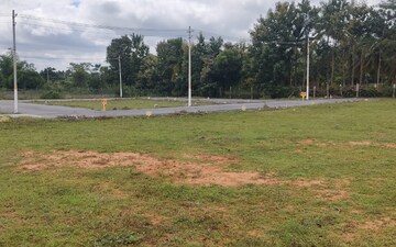 Plot For Sale in Nelamangala
