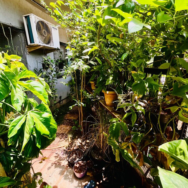 Exterior View, paranjape-blue-ridge 3 Bedroom 1500 Sq.Ft. Builder Floor In Hinjewadi Pune 8626651