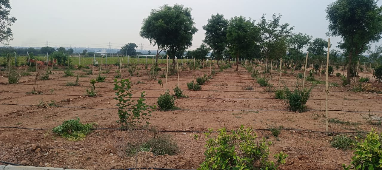 Plot For Sale in Besa Pipla Rd