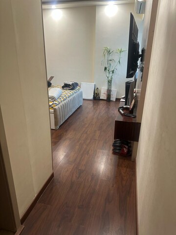 4 BHK Apartment For Rent in DLF The Belaire, Sector 54