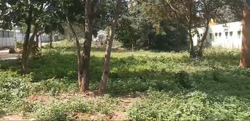  Plot For Sale in Kumbaranahalli