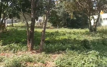 Plot For Sale in Kumbaranahalli