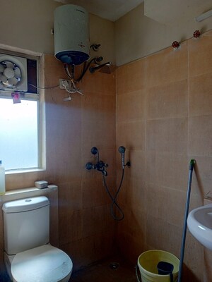 1 BHK Apartment For Sale in Paras Tierea, Sector 137