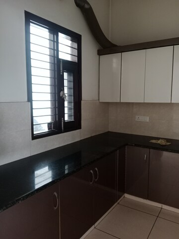 Kitchen in 3 BHK Builder Floor at Sector 18 – for Rent