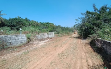 Plot For Sale in Nandi Hills