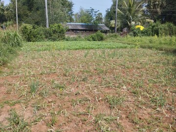 Plot Area in  Plot at Anakapalle – for Sale