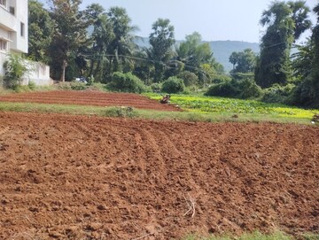 Plot Area in  Plot at Anakapalle – for Sale