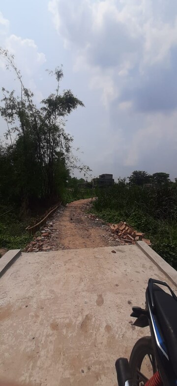 Plot Area in  Plot at Thakuranir Chak – for Sale