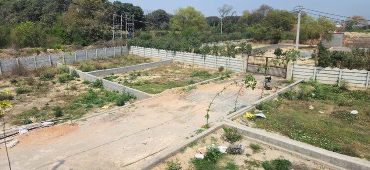 undefined, mirzapur road  166 Sq.Ft. Plot In Mirzapur Road Hisar 8628850