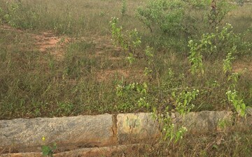 Plot For Sale in Nelamangala