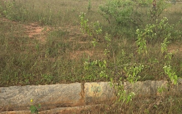 Plot For Sale in Chokkanahalli